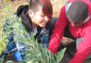 Kids planting a plant.
