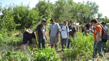 High school students planted and harvested vegetables, and learned about nutrients