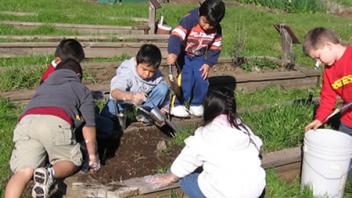 Students help prepare the soil for planting seeds