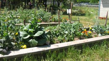 Garden-Based Learning