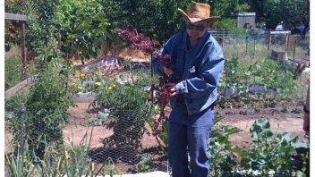 A participant helped weed the garden and get rid of unwanted plants so the vegetables can grow
