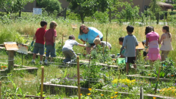 Students participated in hands-on activities in the garden