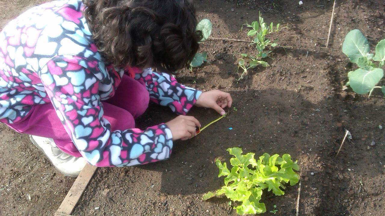 Children Gardening