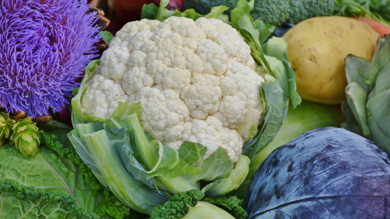 close up of vegetables 