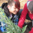 Kids planting a tree.