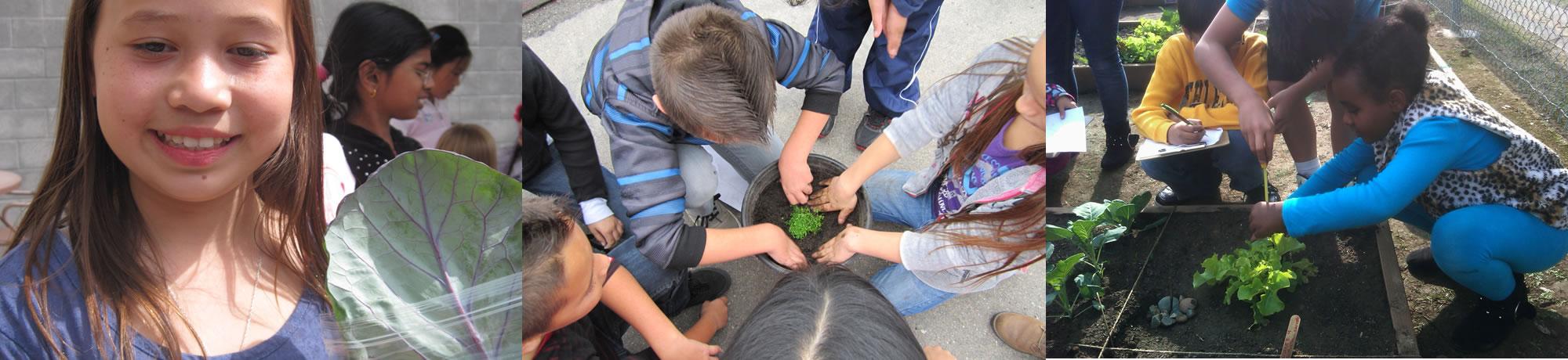 Girl holding leaf, kids planting trees.