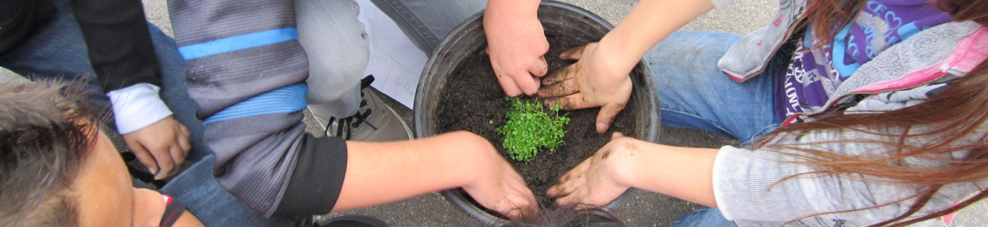 Children planting a plant.